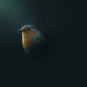 Rayon de lumière sur l'oiseau