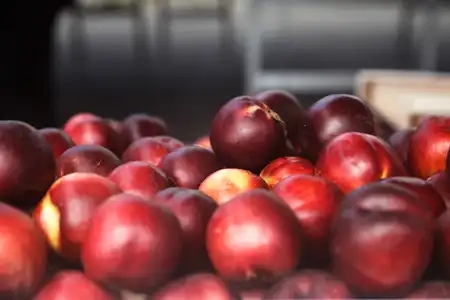 Fruits de saison au marché à Quimper