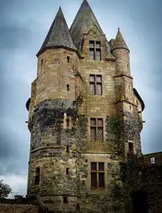 Château de Vitré (3)