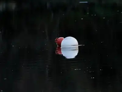 bouées rouge et blanche sur l'eau