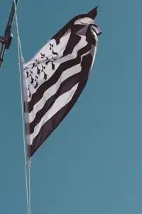 drapeau breton flottant dans les airs marin