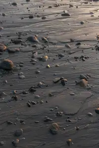 Des galets dessinent des motifs dans le sable à marée basse sur une plage au coucher du soleil