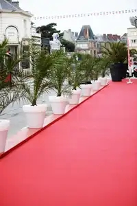 Tapis rouge au festival du Film Britannique à Dinard
