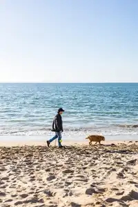 un homme balade son chien sur la plage de airlock