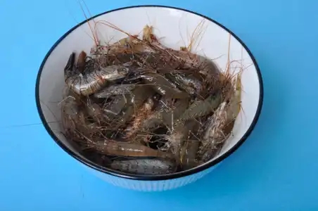 crevettes dans un bol sur fond bleu