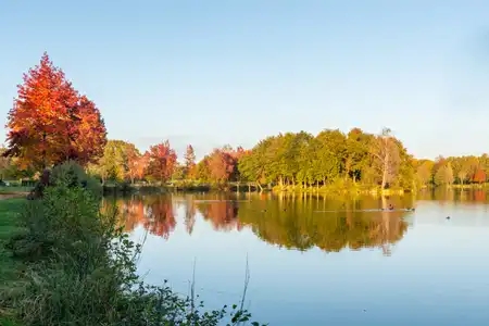 l'automne sur les bords de l'étang à Carentoir