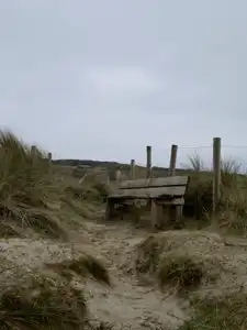 Banc dans les dunes
