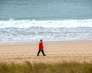 Senior se promenant sur la plage avec son chien