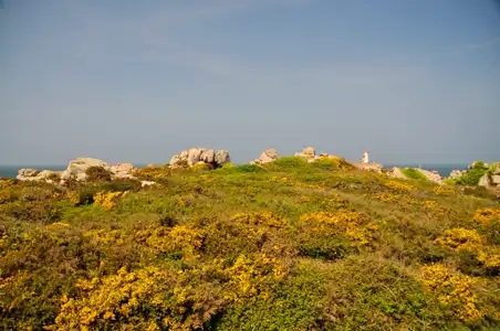 île de Brehat, rochers