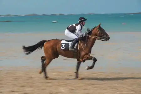 Jockey sur son cheval sur la plage de Lancieux