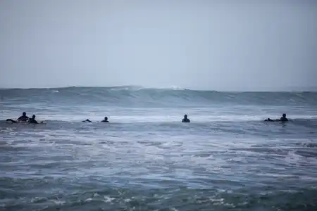Surfeurs à la Torche