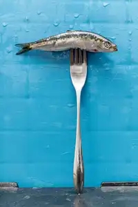 La sardine et la fourchette