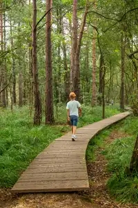 enfant marchant sur le parcours bois à paimpont