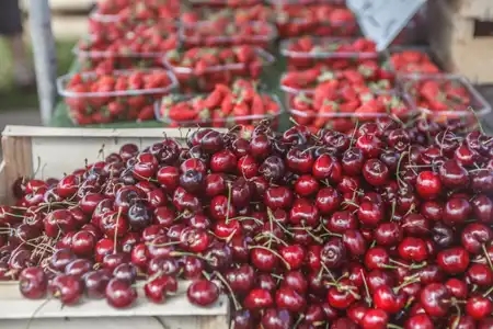 Fruits rouges au marché de Quimper