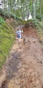 Garçonnet en randonnée en forêt
