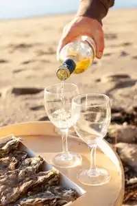 Apéritif d'huitres et vin blanc sur la plage à l'île Tudy
