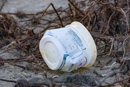 Pollution plastique sur la plage de Bon Abri à Hillion - Un yaourt espagnol dans la Manche