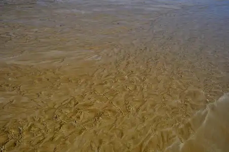 Fond de sable et courant