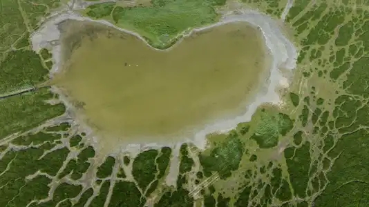 Mare d'eau en forme de cœur