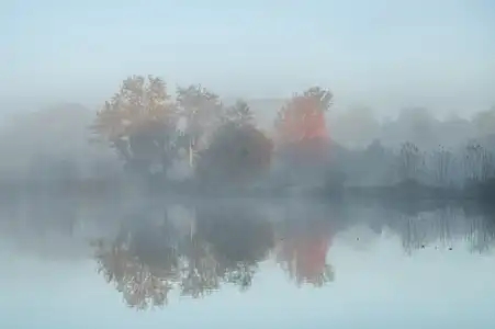 brume et arbre d'automne sur l'étang de carentoir