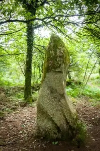 Menhir dans la forêt de Locarn