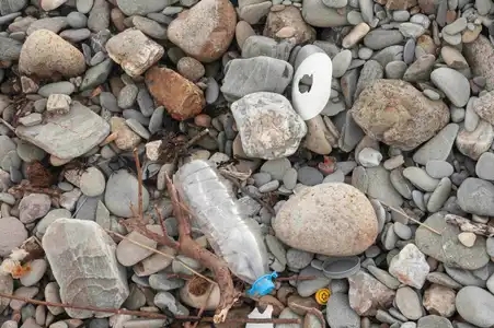 Pollution plastique sur le littoral