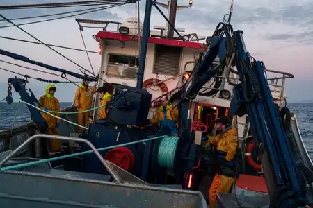 L'équipage du FACE À LA MER, bolincheur pêchant la sardine