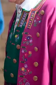 Broderies sur un costume masculin de Plougastel-Daoulas