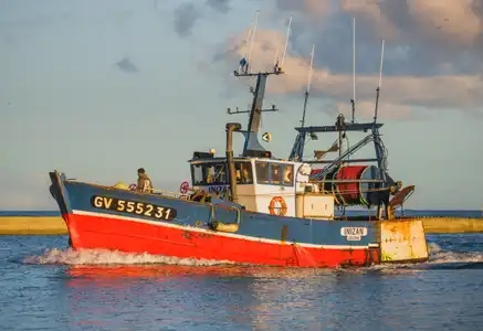 retour de pêche au port de Lesconil en pays Bigouden