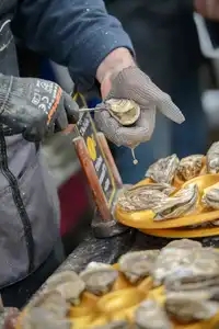 Ecailler ouvrant des huîtres à Cancale