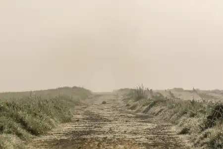 chemin qui se perd dans la brume