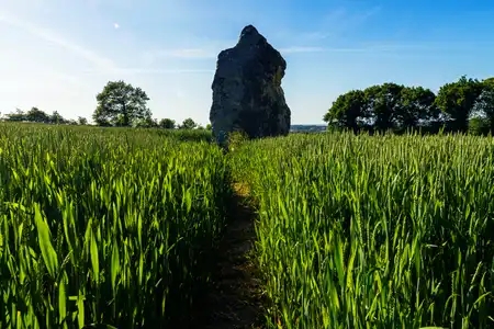 Menhir de la Pierre Longue à Guitté dans les Côtes d'Armor en Bretagne