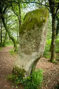 Menhir Le Guellec dans la forêt de Locarn