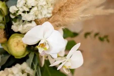 Fleurs - Bouquets de fleurs - Orchidée - Blanc - Fleur séchée