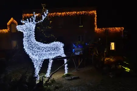 Illuminations de Noël à Locronan, le renne du Père Noël et son traineau