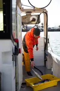 marin-pêcheur
